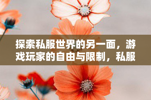 探索私服世界的另一面图片