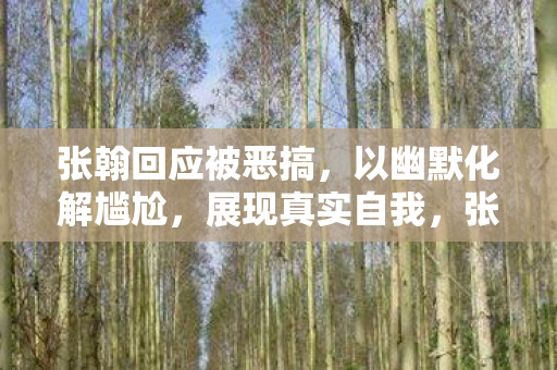 张翰回应被恶搞,以幽默化解尴尬,展现真实自我,张翰幽默回应恶搞,展现真实自我 张翰回应被恶搞,以幽默化解尴尬,展现真实自我,张翰幽默回应恶搞,展现真实自我