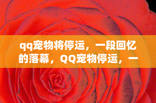qq宠物将停运,一段回忆的落幕,QQ宠物停运,一段回忆的落幕 qq宠物将停运,一段回忆的落幕,QQ宠物停运,一段回忆的落幕