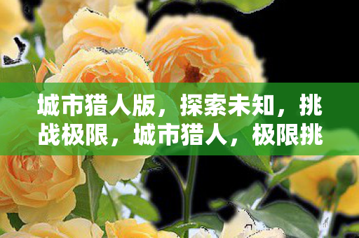 城市猎人版，探索未知，挑战极限，城市猎人，极限挑战，探索未知