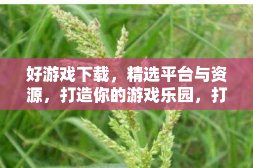 好游戏下载，精选平台与资源，打造你的游戏乐园，打造你的游戏乐园，精选好游戏下载平台与资源