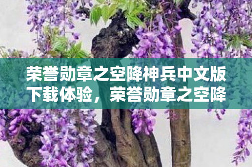 荣誉勋章之空降神兵中文版下载体验图片