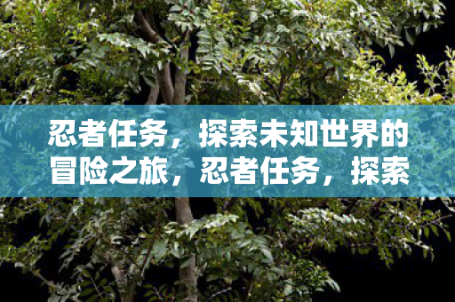 忍者任务,探索未知世界的冒险之旅,忍者任务,探索未知世界的冒险之旅 忍者任务,探索未知世界的冒险之旅,忍者任务,探索未知世界的冒险之旅