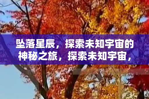 坠落星辰,探索未知宇宙的神秘之旅,探索未知宇宙,坠落星辰的神秘之旅 坠落星辰,探索未知宇宙的神秘之旅,探索未知宇宙,坠落星辰的神秘之旅