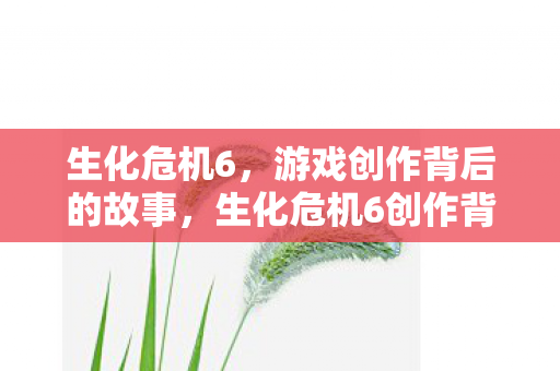 生化危机6，游戏创作背后的故事，生化危机6创作背后的故事，揭秘游戏背后的秘密