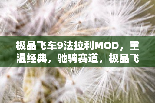 极品飞车9法拉利MOD,重温经典,驰骋赛道,极品飞车9法拉利MOD,重温经典,驰骋赛道 极品飞车9法拉利MOD,重温经典,驰骋赛道,极品飞车9法拉利MOD,重温经典,驰骋赛道