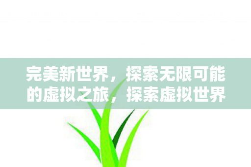 完美新世界，探索无限可能的虚拟之旅，探索虚拟世界，完美新世界之旅