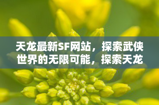 天龙最新SF网站,探索武侠世界的无限可能,探索天龙最新私服网站,解锁武侠世界的无限可能 天龙最新SF网站,探索武侠世界的无限可能,探索天龙最新私服网站,解锁武侠世界的无限可能