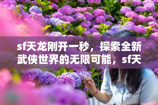 sf天龙刚开一秒，探索全新武侠世界的无限可能，sf天龙一秒开启，探索武侠世界的无限可能