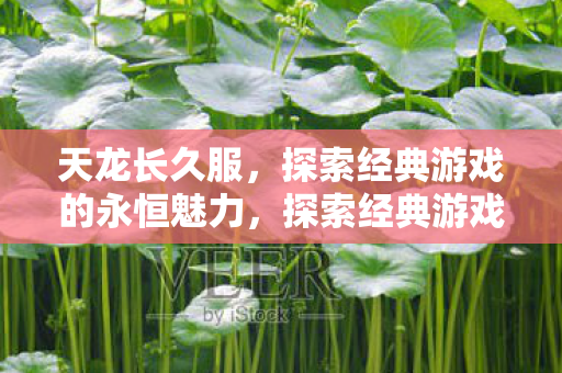 天龙长久服，探索经典游戏的永恒魅力，探索经典游戏天龙八部的永恒魅力