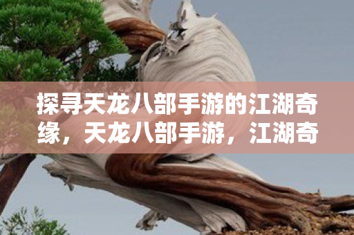 探寻天龙八部手游的江湖奇缘,天龙八部手游,江湖奇缘等你来探寻 探寻天龙八部手游的江湖奇缘,天龙八部手游,江湖奇缘等你来探寻