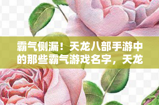 天龙八部手游中的霸气游戏名字大盘点图片