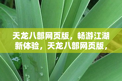 天龙八部网页版图片