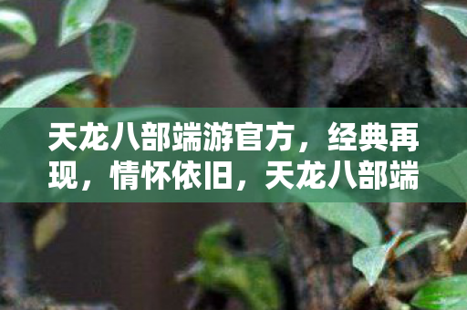 天龙八部端游经典再现图片