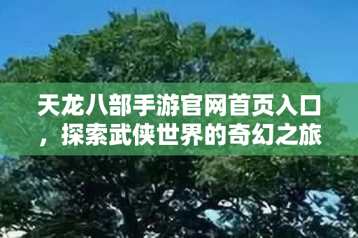 天龙八部手游官网首页入口图片