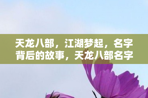 天龙八部名字背后的江湖梦起图片