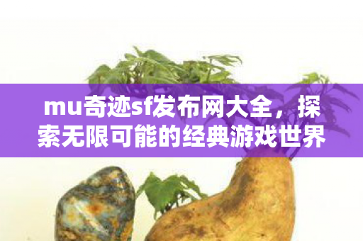 探索无限可能的经典游戏世界图片