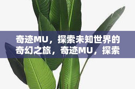 奇迹MU,探索未知世界的奇幻之旅,奇迹MU,探索未知世界的奇幻之旅 奇迹MU,探索未知世界的奇幻之旅,奇迹MU,探索未知世界的奇幻之旅