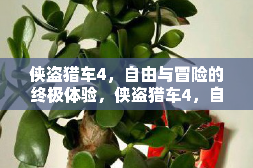 侠盗猎车4,自由与冒险的终极体验,侠盗猎车4,自由冒险的终极体验 侠盗猎车4,自由与冒险的终极体验,侠盗猎车4,自由冒险的终极体验