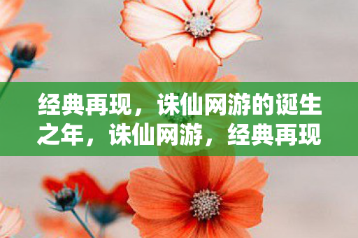 经典再现,诛仙网游的诞生之年,诛仙网游,经典再现的诞生之年 经典再现,诛仙网游的诞生之年,诛仙网游,经典再现的诞生之年