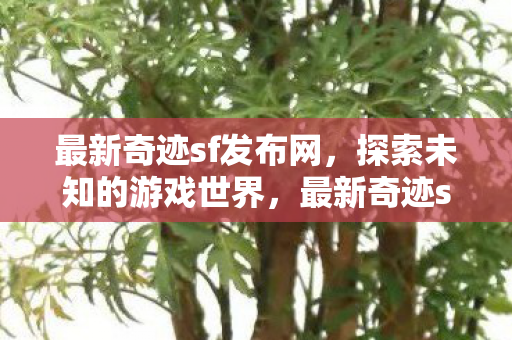 最新奇迹sf发布网,探索未知的游戏世界,最新奇迹sf发布网,探索未知的游戏世界 最新奇迹sf发布网,探索未知的游戏世界,最新奇迹sf发布网,探索未知的游戏世界