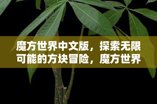 魔方世界中文版,探索无限可能的方块冒险,魔方世界中文版,探索方块世界的无限可能 魔方世界中文版,探索无限可能的方块冒险,魔方世界中文版,探索方块世界的无限可能