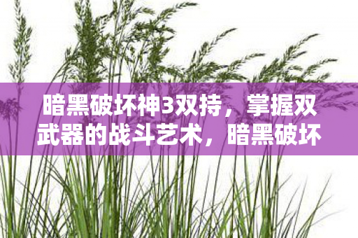 暗黑破坏神3双持,掌握双武器的战斗艺术,暗黑破坏神3,掌握双持武器的战斗艺术 暗黑破坏神3双持,掌握双武器的战斗艺术,暗黑破坏神3,掌握双持武器的战斗艺术