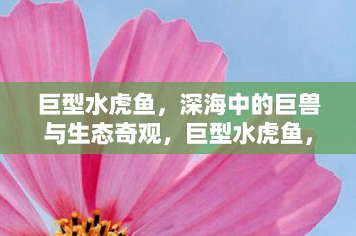巨型水虎鱼,深海中的巨兽与生态奇观,巨型水虎鱼,深海巨兽的生态奇观 巨型水虎鱼,深海中的巨兽与生态奇观,巨型水虎鱼,深海巨兽的生态奇观