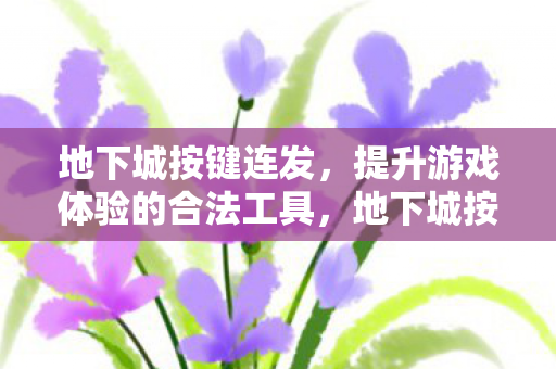 地下城按键连发,提升游戏体验的合法工具,地下城按键连发,合法提升游戏体验的工具 地下城按键连发,提升游戏体验的合法工具,地下城按键连发,合法提升游戏体验的工具