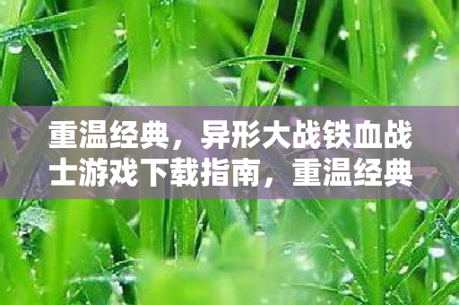 重温经典,异形大战铁血战士游戏下载指南,重温经典,异形大战铁血战士游戏下载指南 重温经典,异形大战铁血战士游戏下载指南,重温经典,异形大战铁血战士游戏下载指南