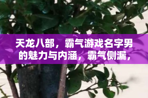 探索天龙八部中男性角色名字的魅力与内涵图片
