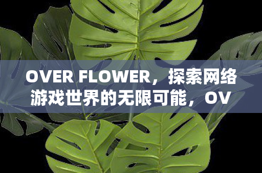 OVER FLOWER，探索网络游戏世界的无限可能，OVER FLOWER，探索网络游戏世界的无限可能