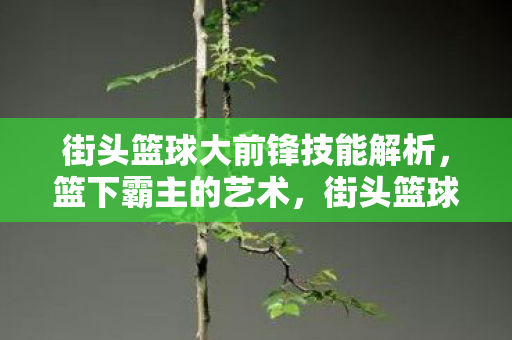 街头篮球大前锋技能解析,篮下霸主的艺术,街头篮球大前锋技能解析,篮下霸主的艺术 街头篮球大前锋技能解析,篮下霸主的艺术,街头篮球大前锋技能解析,篮下霸主的艺术