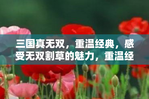 三国真无双，重温经典，感受无双割草的魅力，重温经典，三国真无双，体验无双割草魅力