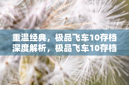 重温经典,极品飞车10存档深度解析,极品飞车10存档深度解析,重温经典,解锁隐藏细节 重温经典,极品飞车10存档深度解析,极品飞车10存档深度解析,重温经典,解锁隐藏细节