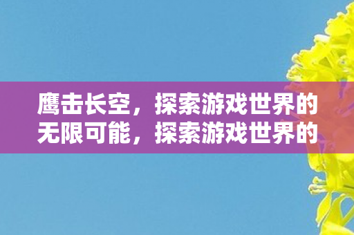 鹰击长空，探索游戏世界的无限可能，探索游戏世界的无限可能，鹰击长空