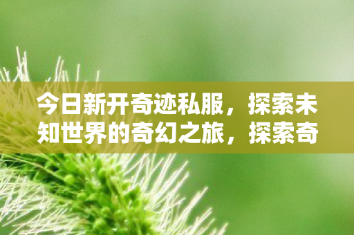 今日新开奇迹私服,探索未知世界的奇幻之旅,探索奇迹私服,开启奇幻之旅,探索未知世界 今日新开奇迹私服,探索未知世界的奇幻之旅,探索奇迹私服,开启奇幻之旅,探索未知世界