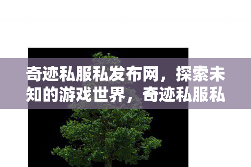 奇迹私服私发布网,探索未知的游戏世界,奇迹私服私发布网,探索未知的游戏世界 奇迹私服私发布网,探索未知的游戏世界,奇迹私服私发布网,探索未知的游戏世界