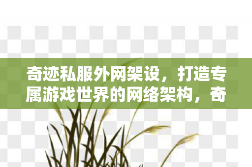 打造专属游戏世界的网络架构图片