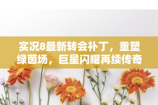 实况8最新转会补丁，重塑绿茵场，巨星闪耀再续传奇，实况8最新转会补丁，重塑绿茵场，巨星闪耀再续传奇