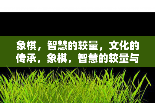 象棋,智慧的较量,文化的传承,象棋,智慧的较量与文化传承 象棋,智慧的较量,文化的传承,象棋,智慧的较量与文化传承