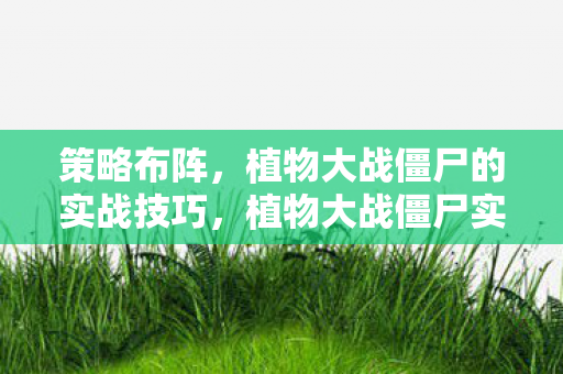 策略布阵,植物大战僵尸的实战技巧,植物大战僵尸实战策略,如何布阵应对僵尸进攻? 策略布阵,植物大战僵尸的实战技巧,植物大战僵尸实战策略,如何布阵应对僵尸进攻?