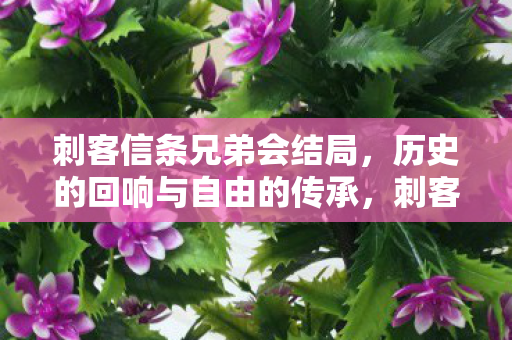 刺客信条兄弟会结局,历史的回响与自由的传承,刺客信条兄弟会结局,历史的回响与自由的传承 刺客信条兄弟会结局,历史的回响与自由的传承,刺客信条兄弟会结局,历史的回响与自由的传承