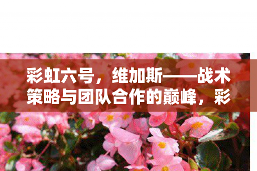 彩虹六号,维加斯——战术策略与团队合作的巅峰,彩虹六号,维加斯——战术策略与团队合作的巅峰对决 彩虹六号,维加斯——战术策略与团队合作的巅峰,彩虹六号,维加斯——战术策略与团队合作的巅峰对决