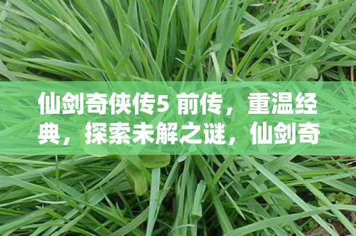 仙剑奇侠传5前传重温经典图片