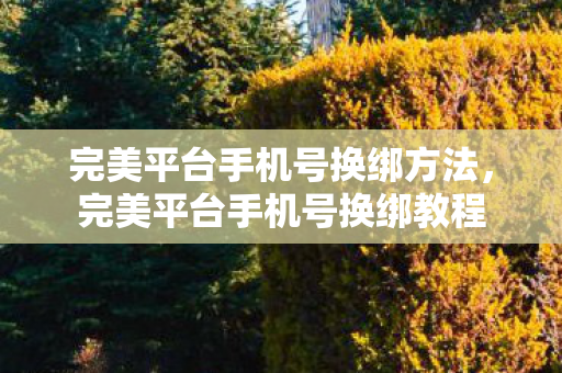 完美平台手机号换绑方法,完美平台手机号换绑教程 完美平台手机号换绑方法,完美平台手机号换绑教程