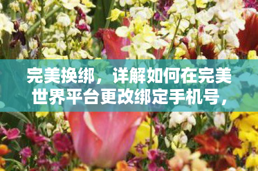 完美换绑，详解如何在完美世界平台更改绑定手机号，如何在完美世界平台完美换绑手机号？