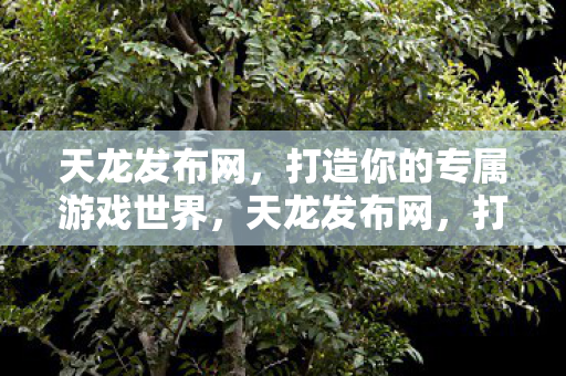 打造你的专属游戏世界图片