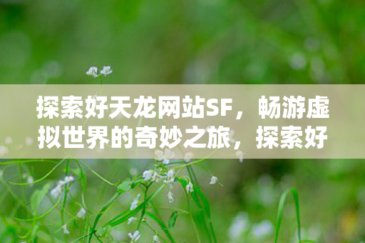 探索好天龙网站SF,畅游虚拟世界的奇妙之旅,探索好天龙网站SF,畅游虚拟世界的奇妙之旅 探索好天龙网站SF,畅游虚拟世界的奇妙之旅,探索好天龙网站SF,畅游虚拟世界的奇妙之旅