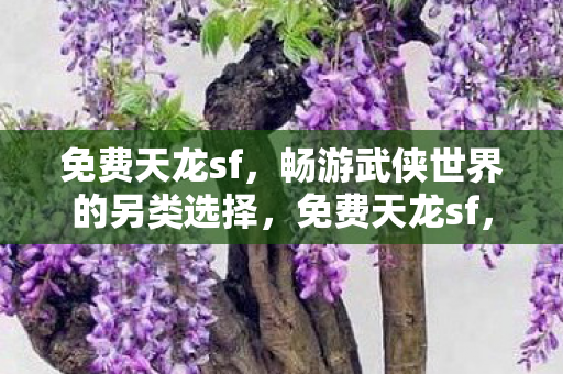 畅游武侠世界的另类选择图片